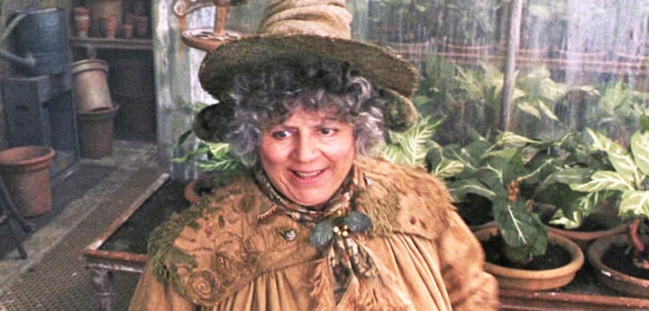 (Harry Potter 2 Miriam Margolyes as Professor Sprout)