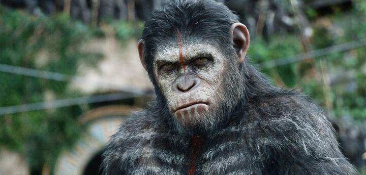 (Andy Serkis as Caesar in the Planet of the Apes films)