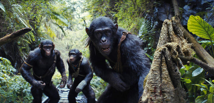 (Planet of the Apes: New Kingdom)
