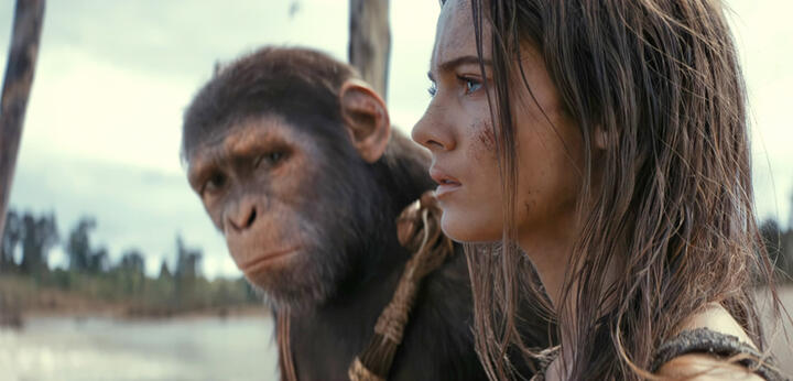 ( Planet of the Apes New Kingdom)