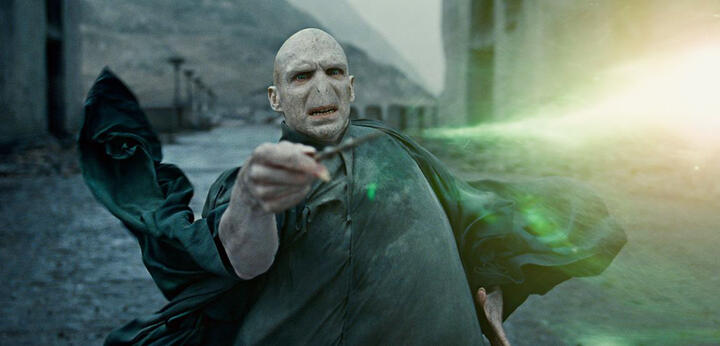 (Harry Potter's adversary Voldemort)